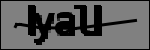 Text per identificar