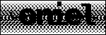 Text der identifiziert werden soll